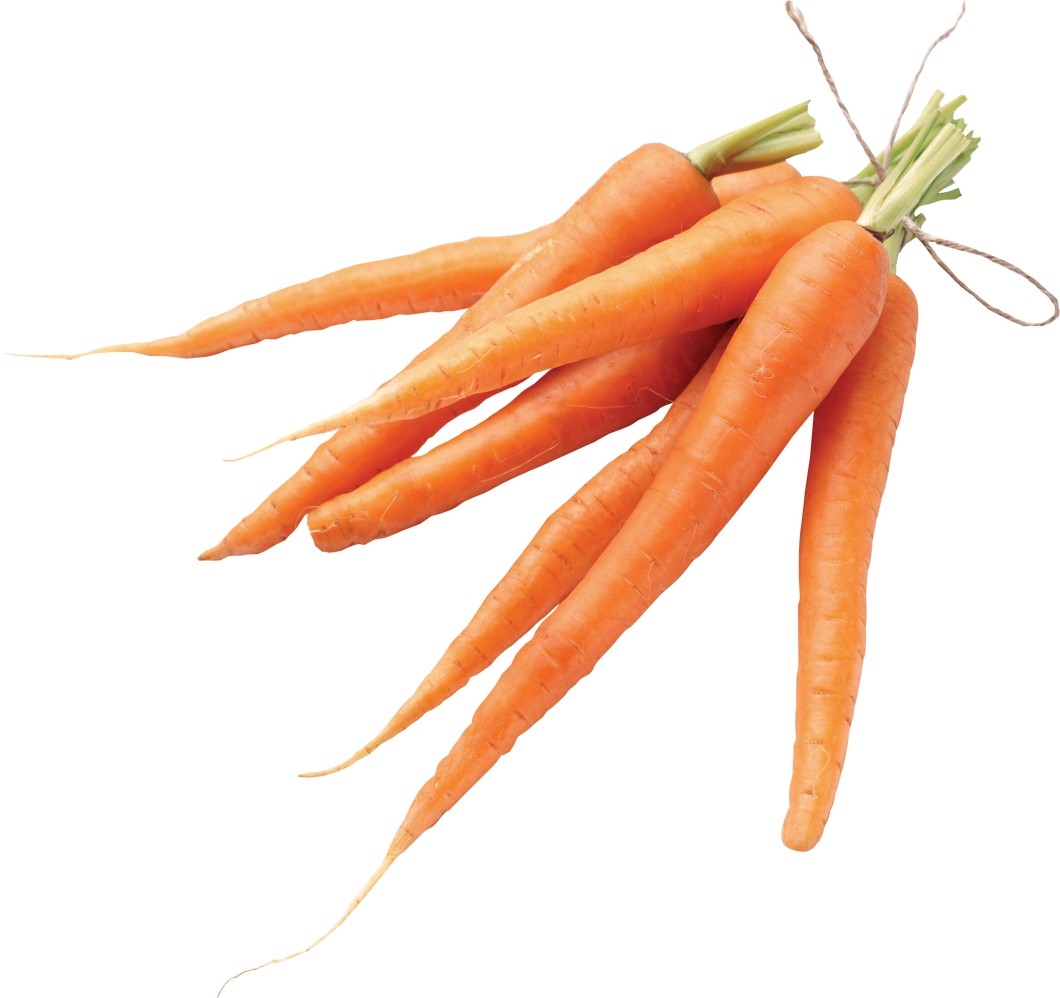 სტაფილო