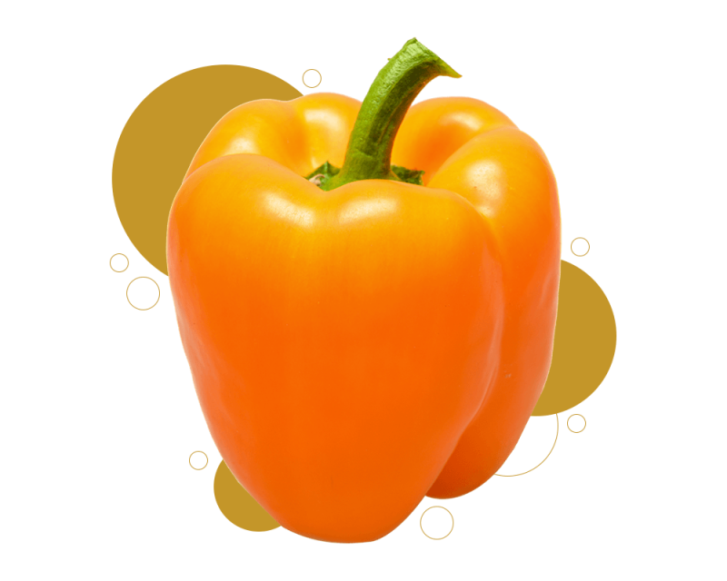 ბულგარული წიწაკა